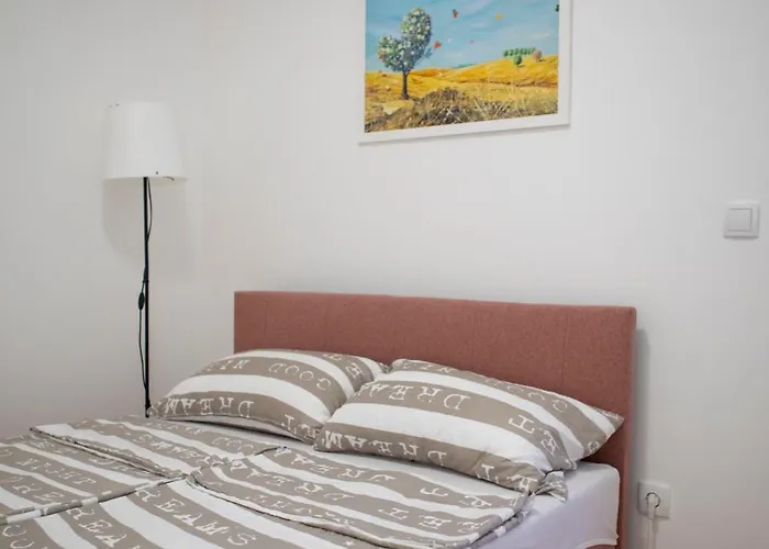 Center Διαμέρισμα Βράνιε